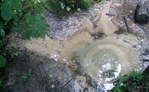 15_Antončiko šaltinis Lapelės foto.jpg